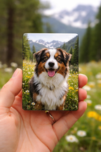Custom Photo Magnets 2.5x3.5